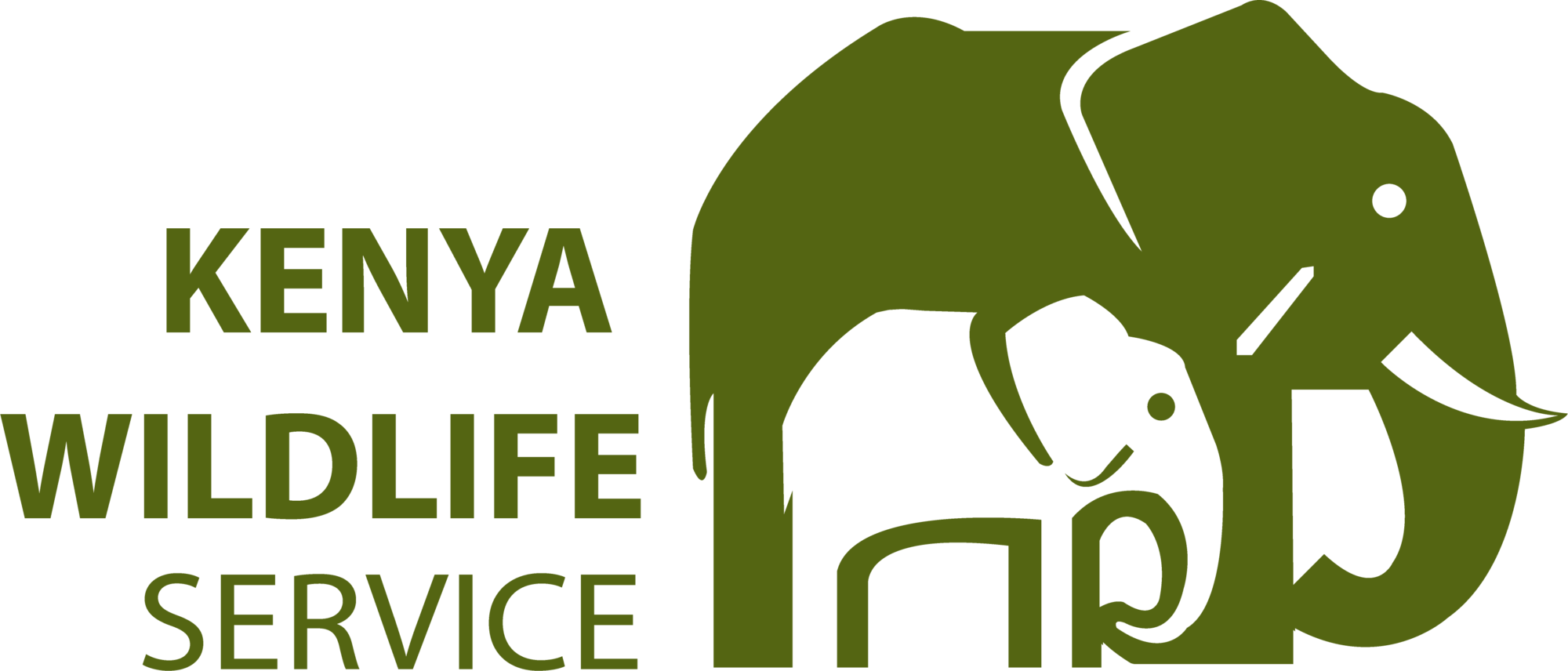 Kenya Wildlife Service